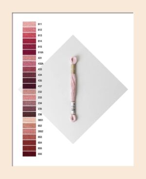 Cosmo 6 Strand Cotton Floss - Panel #3
